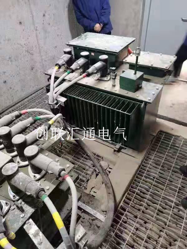 S13-MRD-160-10/0.4 地埋變上海世博園管廊案例詳情